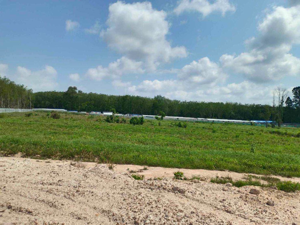 For SaleLandRayong : Land Mabkha near CPGC Industrial / 10 Rai (FOR SALE) NEWC194