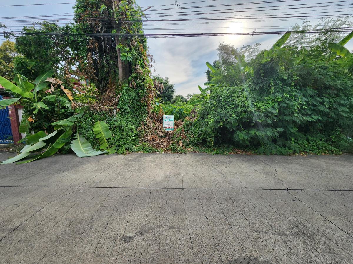 For SaleLandBang kae, Phetkasem : Land for sale, good location, 104 sq m, Phutthamonthon Sai 2, Soi 11, 300 meters into the alley.