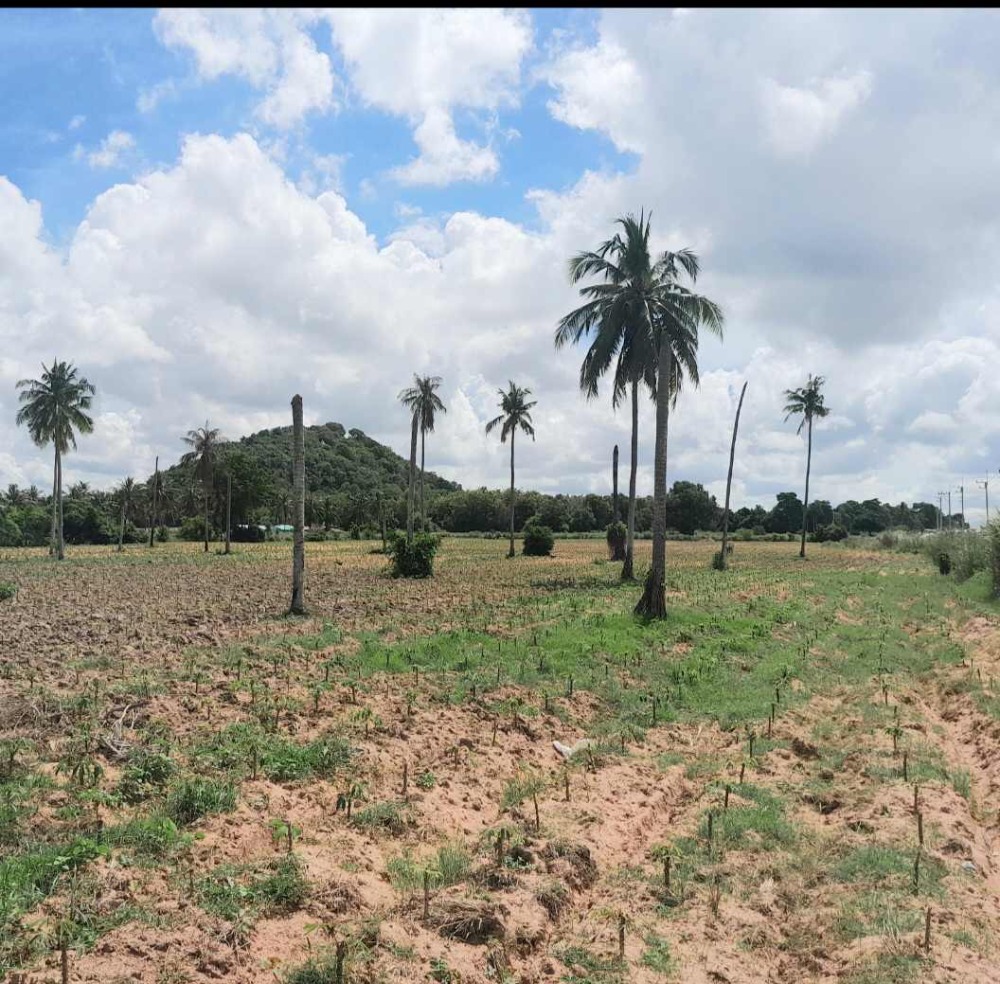 For SaleLandPattaya, Bangsaen, Chonburi : Land Huai Yai Near Pattaya Water Space / 13 Rai (FOR SALE) NEWC209