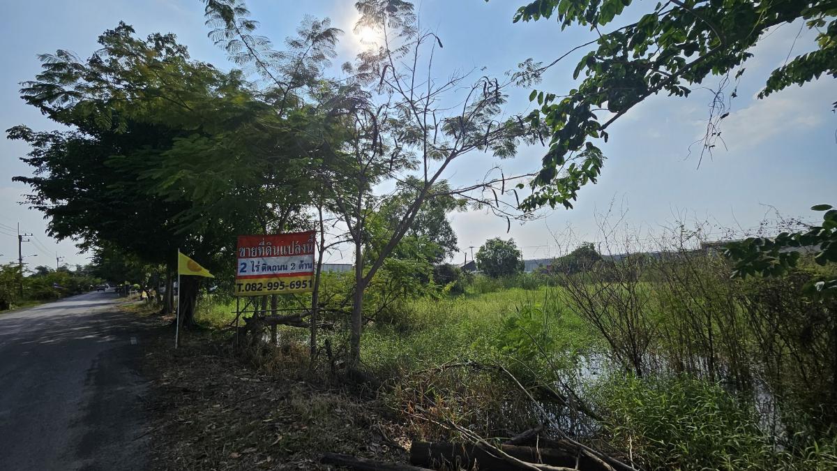 ขายที่ดินปทุมธานี รังสิต ธรรมศาสตร์ : ขายที่ดินลาดหลุมแก้ว ซอยวัดสุวรรณจินดาราม ผังม่วง