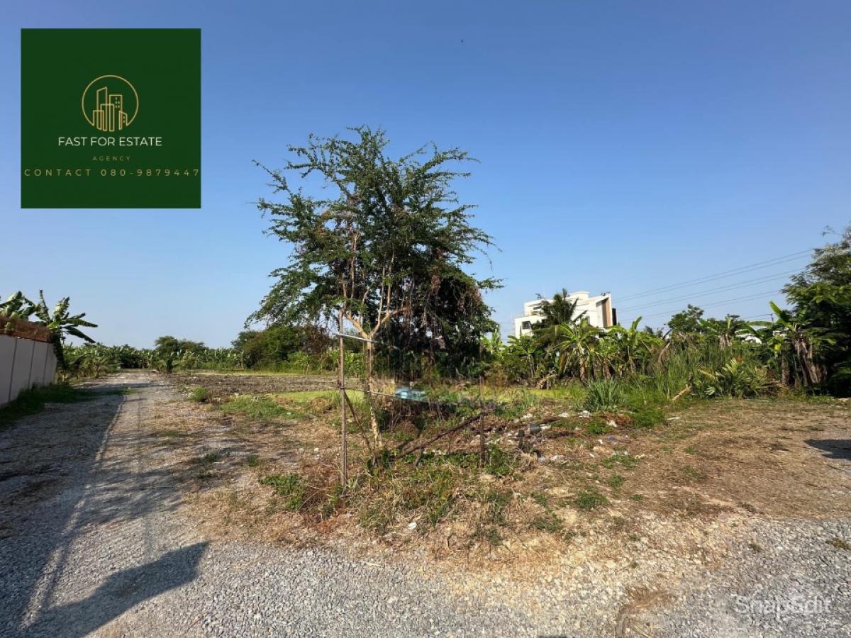 For SaleLandBang kae, Phetkasem : Land for sale🌱Beautiful plot, near Paseo Kanchanaphisek, just a little way into the alley, good value, very cheap price