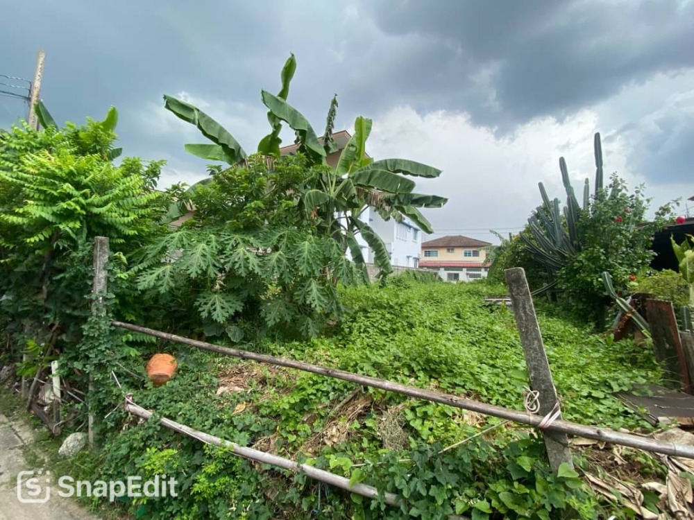 For SaleLandBang Sue, Wong Sawang, Tao Pun : Best price in the area, close to expressway 10 minutes ✨ Vacant land Prachachuen 41 / (SALE), Land Prachachuen 41 / (SALE) FAH131