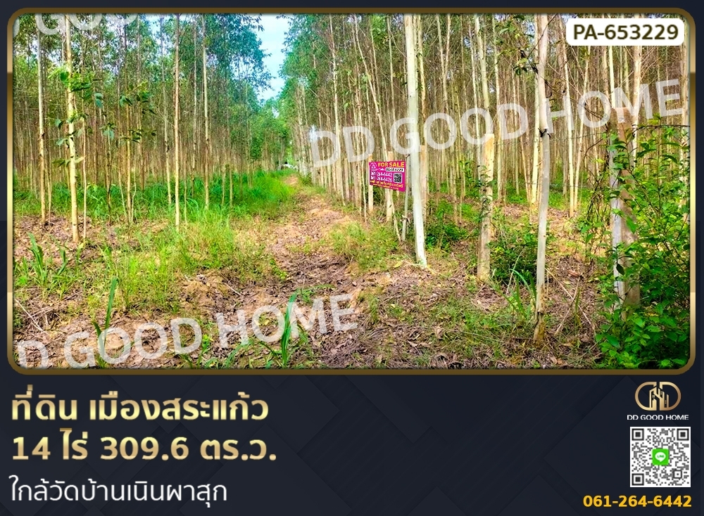 ขายที่ดินสระแก้ว : ที่ดิน เมืองสระแก้ว 14 ไร่ 309.6 ตร.ว. ใกล้วัดบ้านเนินผาสุก