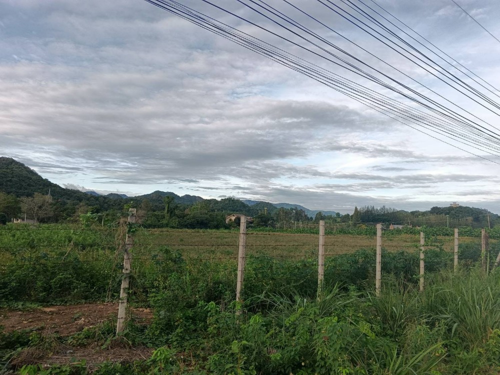 For SaleLandPak Chong KhaoYai : Beautiful land for sale, Nong Nam Daeng, Pak Chong, area 13 rai, price 3,800,000.00 per rai.