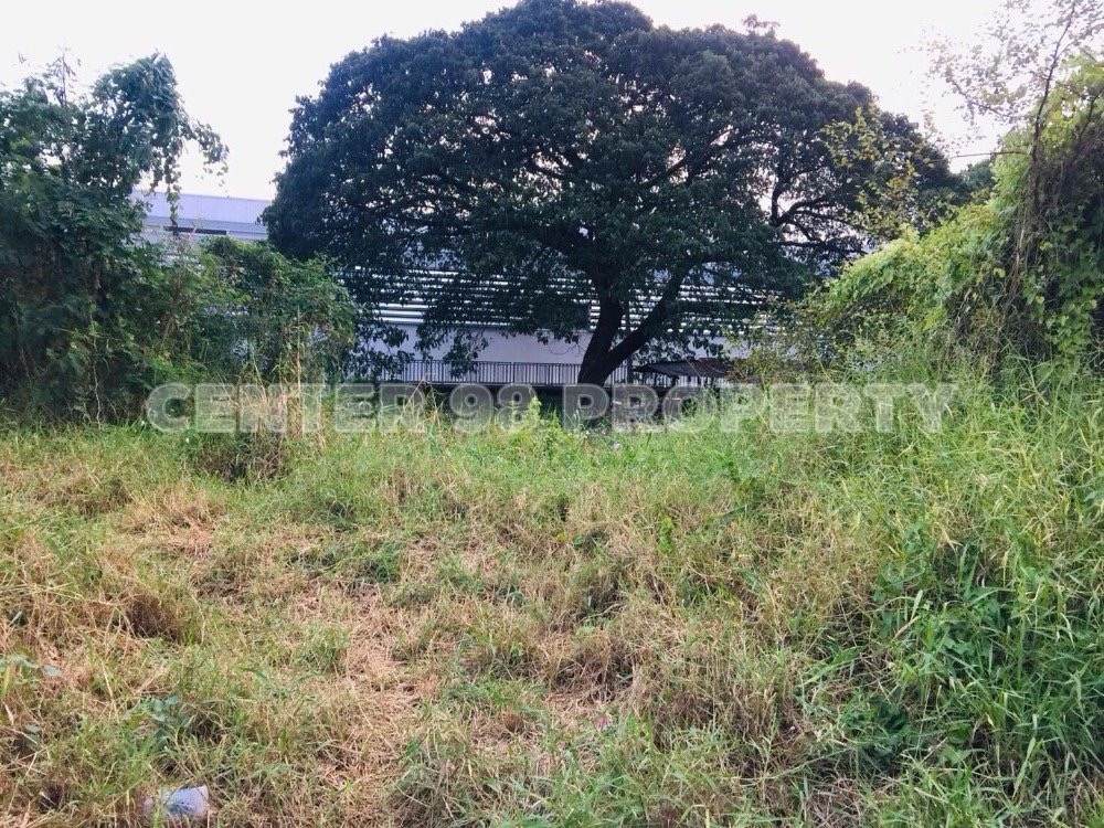 For RentLandPattanakan, Srinakarin : For sale/rent: vacant land, Soi Dara Chai 1/1, On Nut 46 area