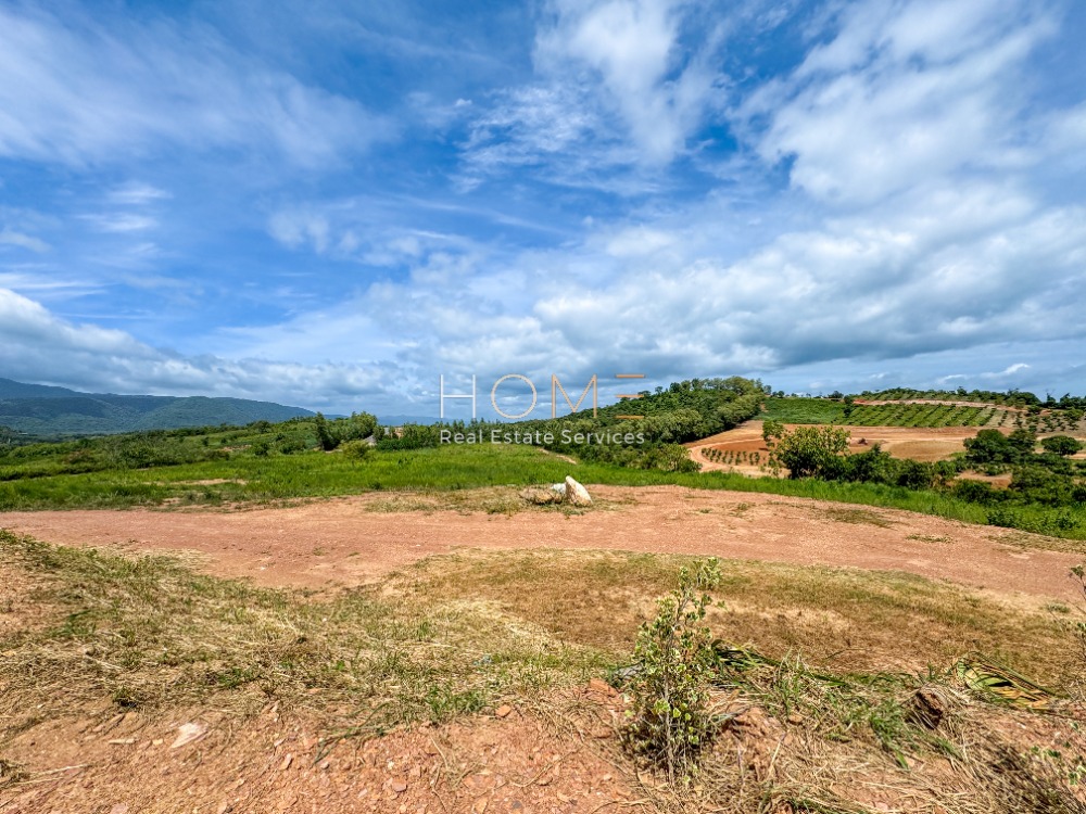 For SaleLandPak Chong KhaoYai : Land Pakchong / 18 Rai 2 Ngan 6 Square Wa (FOR SALE) COF561