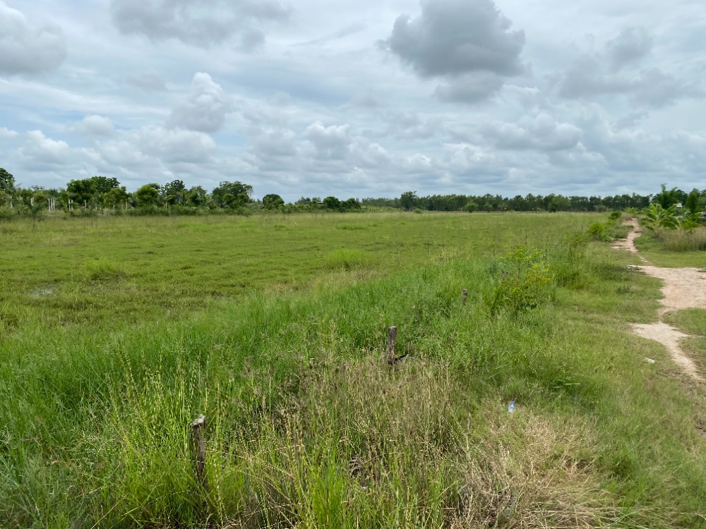 For SaleLandKamphaeng Phet : Land in Kamphaeng Phet, 13 rai 1 ngan, next to Phahon Yothin Road