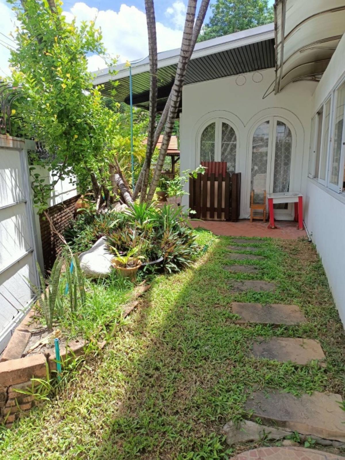 For RentHouseSukhumvit, Asoke, Thonglor : 2-storey detached house for rent, Pridi Banomyong Soi 14