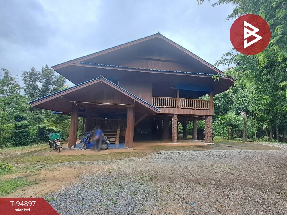 For SaleHousePhrae : For sale: Wooden house with land planted with teak trees covering the entire area, area 7 rai, 2 ngan, 24 sq m, Wang Chin, Phrae