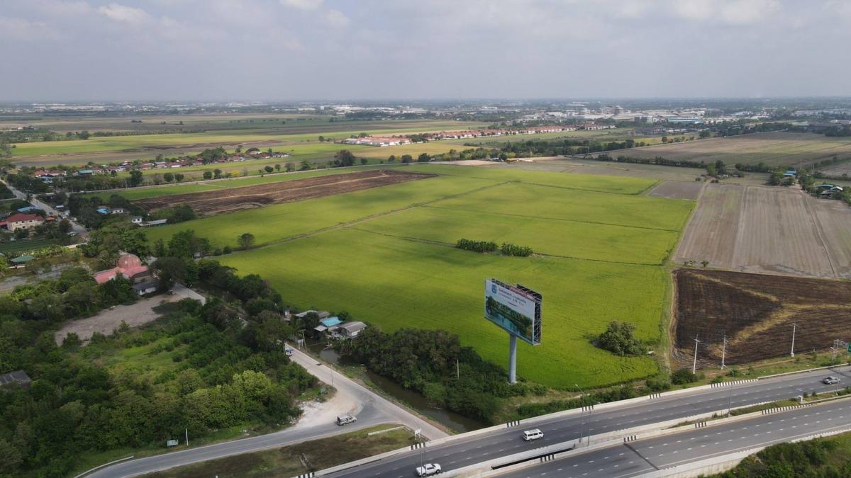 ขายที่ดินปทุมธานี รังสิต ธรรมศาสตร์ : ราชพฤกษ์ คลองพระมหาโยธา