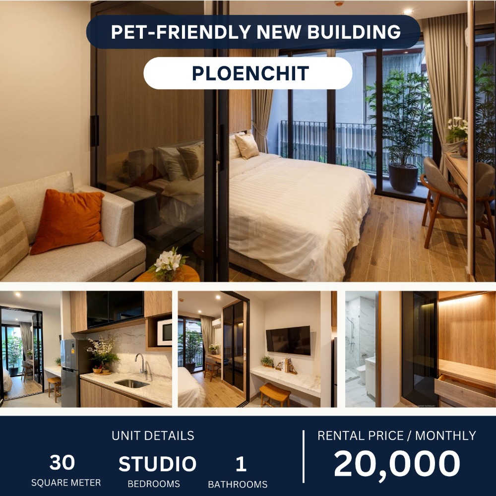 ให้เช่าคอนโดวิทยุ ชิดลม หลังสวน : Pet-Friendly Apartment Studio for rent 20,000 per month