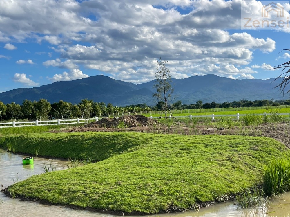 ขายที่ดินเชียงใหม่ : ที่ดิน1ไร่ แม่ริมเชียงใหม่ ใกล้มหาวิทยาลัยแม่โจ้ กาดฝรั่งแม่ริม โรงเรียนนานาชาติเปรม จากสนามบิน 30 กม.