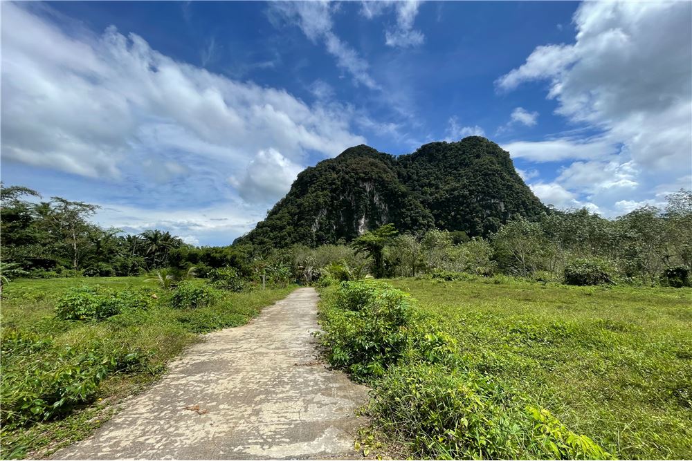 For SaleLandKrabi : LAND FOR SALE !  1.5 Million Baht/Rai