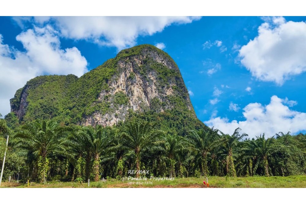 For SaleLandKrabi : Land for Sale with Stunning Mountain Views