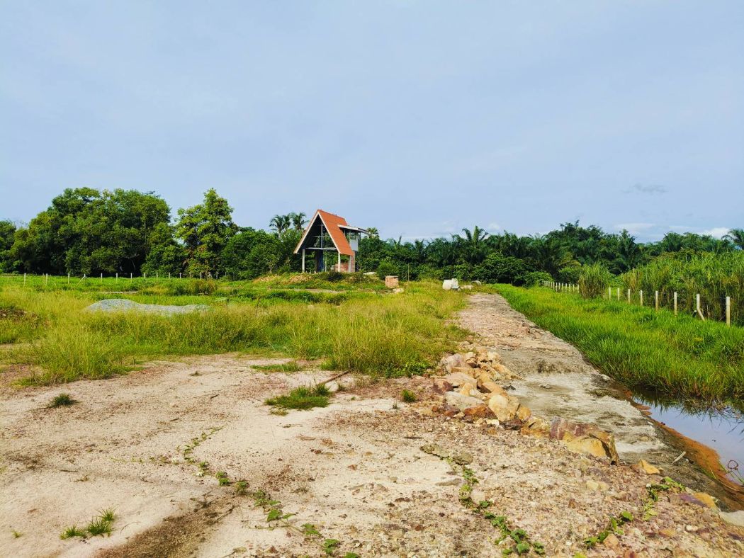 For SaleLandNakhon Si Thammarat : Land for sale near Thapae Market, 2 rai, 2 ngan, 71.8 sq.wa., suitable for agricultural farming.