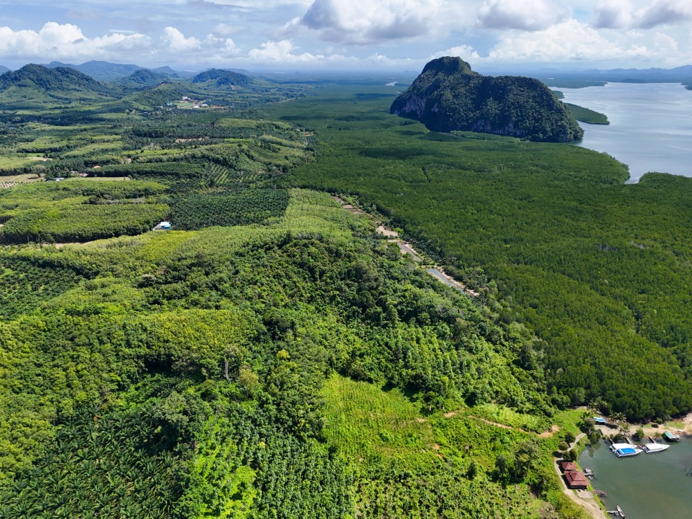 For SaleLandKrabi : Exclusive Opportunity! Last Plot of Land with the Best View - Perfect for Future Investment