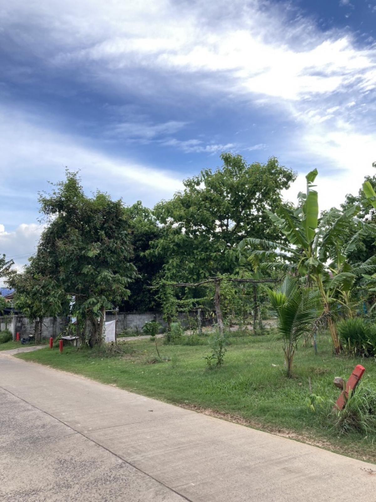 For SaleLandUbon Ratchathani : Owner selling vacant land, 2 rai, 1 ngan, 63 square wa.