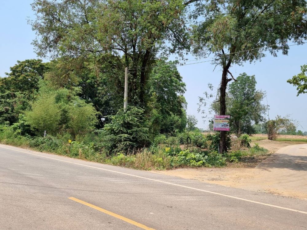 For SaleLandPhitsanulok : Land for sale, good location, convenient transportation, water and electricity available, Wang Thong Subdistrict, Wang Thong District, Phitsanulok Province