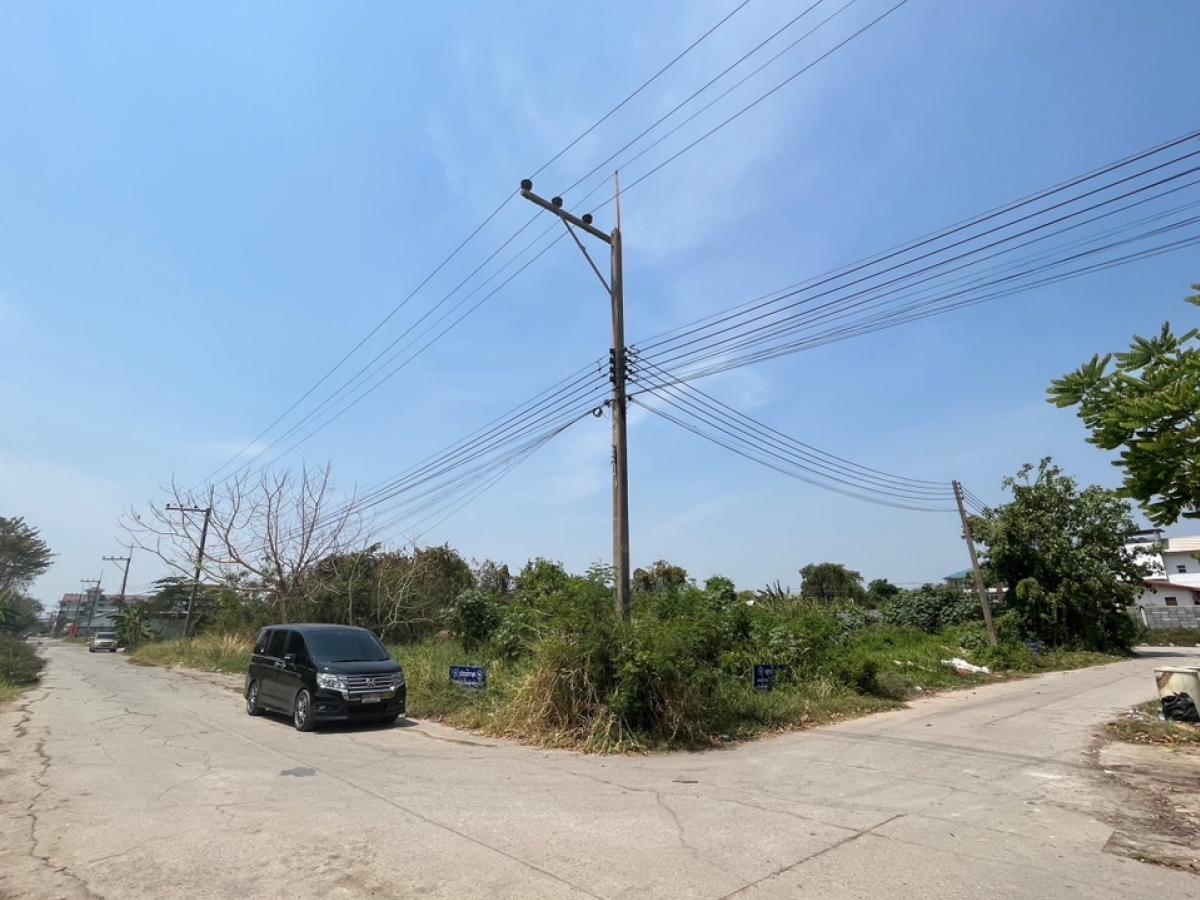 For SaleLandPathum Thani,Rangsit, Thammasat : 🚩🚩Urgent sale!!! Vacant land Lam Luk Ka🚩🚩