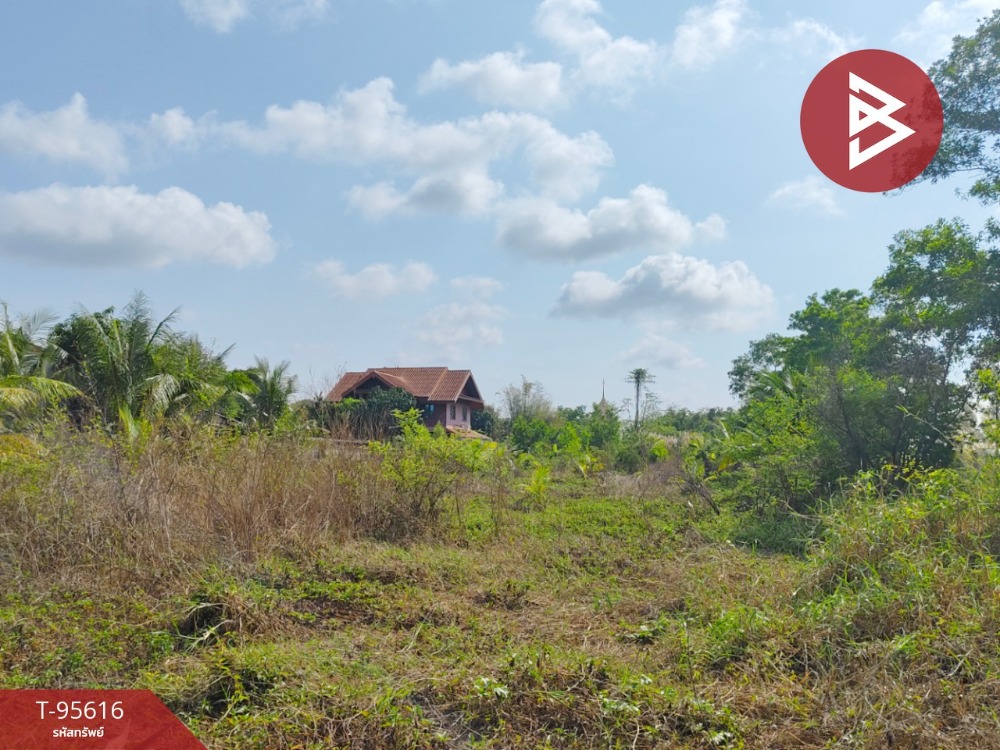 For SaleLandChanthaburi : Land for sale, area 3 rai 1 ngan 58.5 square wa, Bang Khacha, Chanthaburi