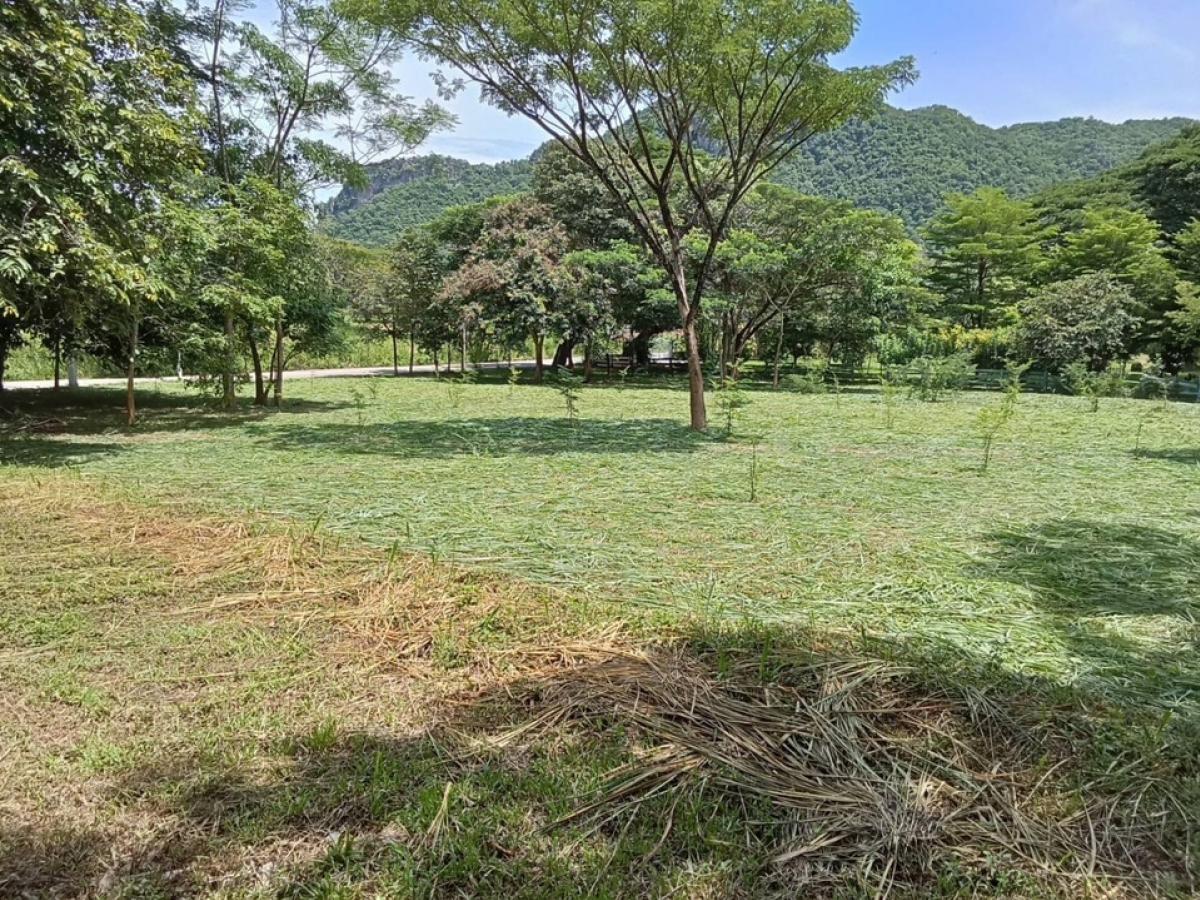 For SaleLandPak Chong KhaoYai : Land for sale in Moo Si, Khao Yai, Kut Kla-Phan Suek Road, near Terano Restaurant & Bakery, Primo Piazza