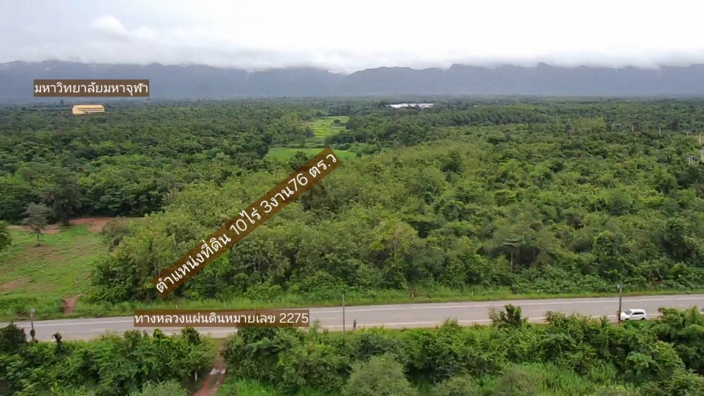 For SaleLandPhetchabun : For sale: 13-year-old golden teak forest garden, Ban Klang Subdistrict, Lom Sak District, Phetchabun Province, area 10 rai 3 ngan 76 sq m.