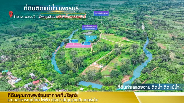 ขายที่ดินชะอำ เพชรบุรี : ขายที่ดิน ติดแม่น้ำเพชรบุรี โฉนดนส.4จ ในเขตเทศบาลท่ายาง น้ำไฟพร้อม น้ำไม่ท่วม ฮวงจุ้ยท้องมังกร