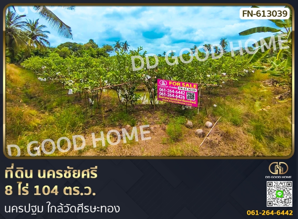 ขายที่ดินนครปฐม : ที่ดิน นครชัยศรี 8 ไร่ 104 ตร.ว. นครปฐม ใกล้วัดศีรษะทอง