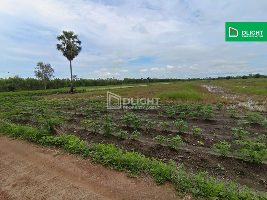 For SaleLandKamphaeng Phet : Vacant land (rice field), Khanuworalakburi District, Kamphaeng Phet Province, 15 rai, price 1.5 million baht