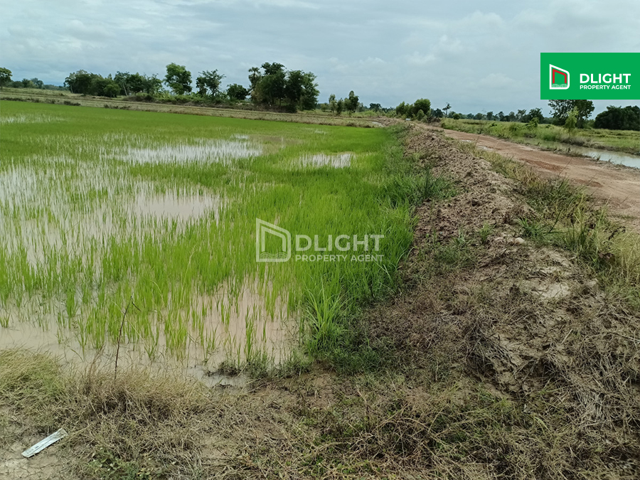 For SaleLandKamphaeng Phet : Vacant land (rice field), Khanuworalakburi District, Kamphaeng Phet Province, 15 rai, price 1.5 million baht, next to a public canal