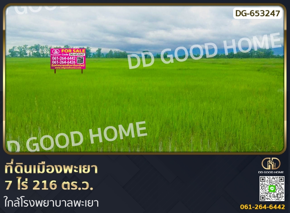 For SaleLandPhayao : Land in Phayao City, 7 rai 216 sq w., near Phayao Hospital