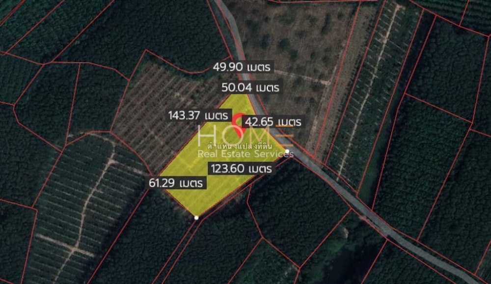 For SaleLandRayong : Land Nam Khok Subdistrict Rayong / (SALE) NEWC276