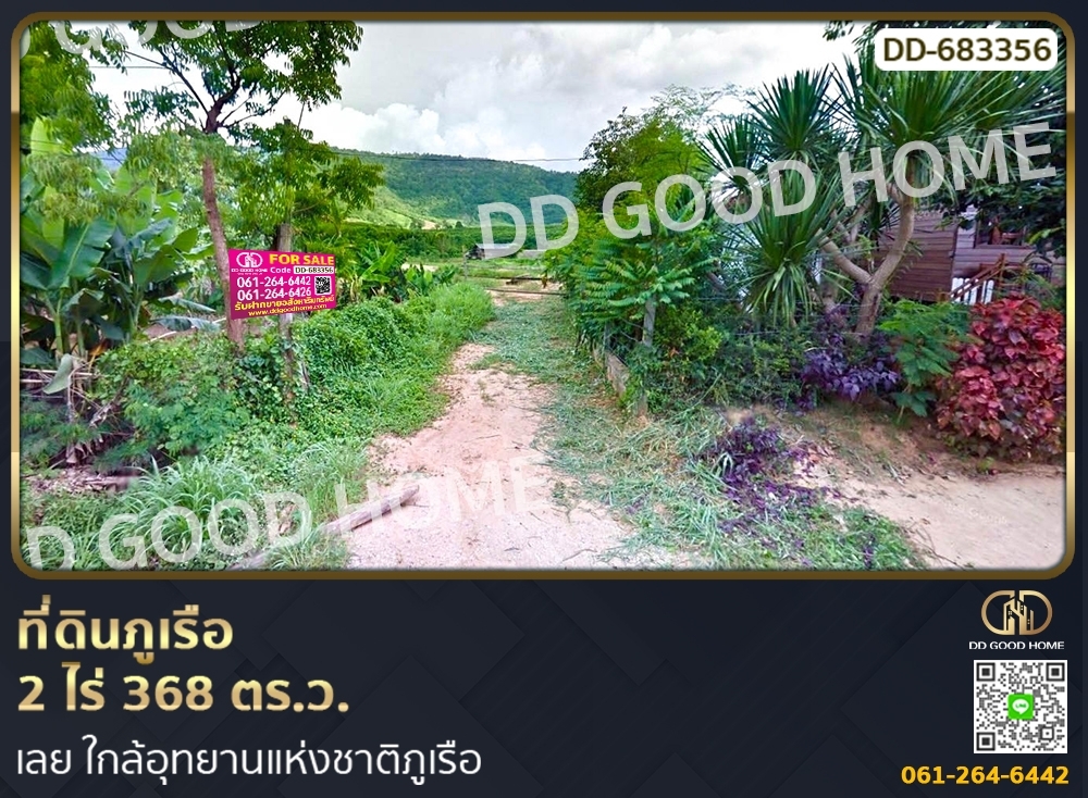 ขายที่ดินเลย : ที่ดินภูเรือ 2 ไร่ 368 ตร.ว. เลย ใกล้อุทยานแห่งชาติภูเรือ