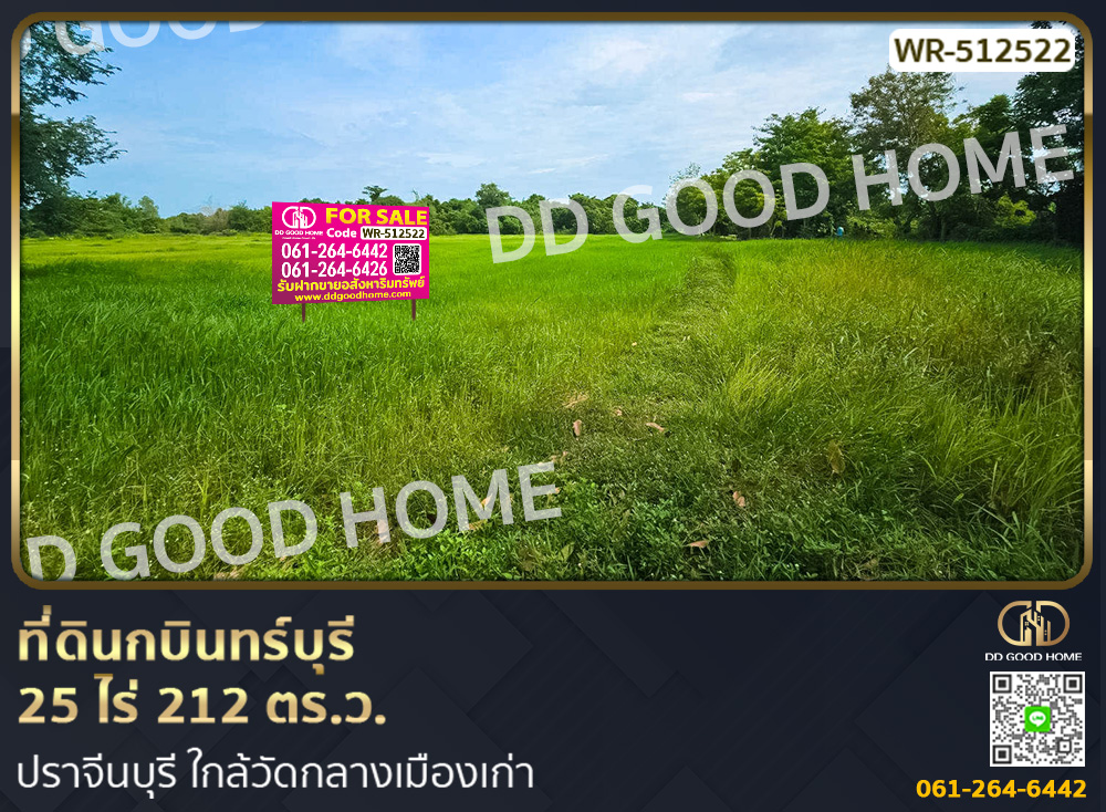 For SaleLandPrachin Buri : Land in Kabin Buri, 25 rai, 212 sq m, Prachin Buri, near Wat Klang Muang Kao