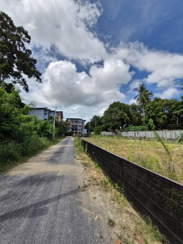 ขายที่ดินสมุย สุราษฎร์ธานี : Land for sale Koh Samui  area 257.64 sqm 100 m. from main road, 2km. from chaweng beach