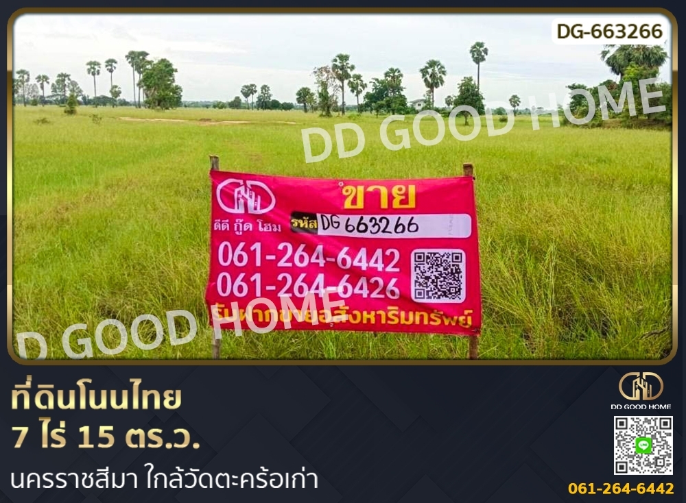 For SaleLandKorat Nakhon Ratchasima : Non Thai land 7 rai 15 sq w. Nakhon Ratchasima near Wat Takhro Kao