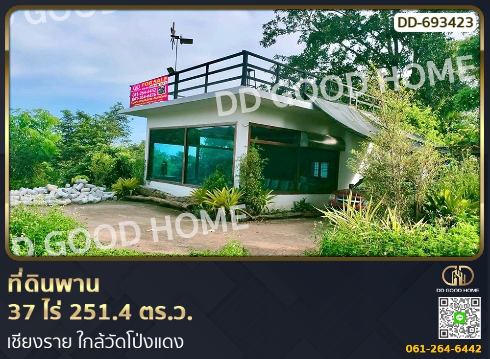 For SaleLandChiang Rai : Phan land 37 rai 251.4 sq w. Chiang Rai near Wat Pong Daeng