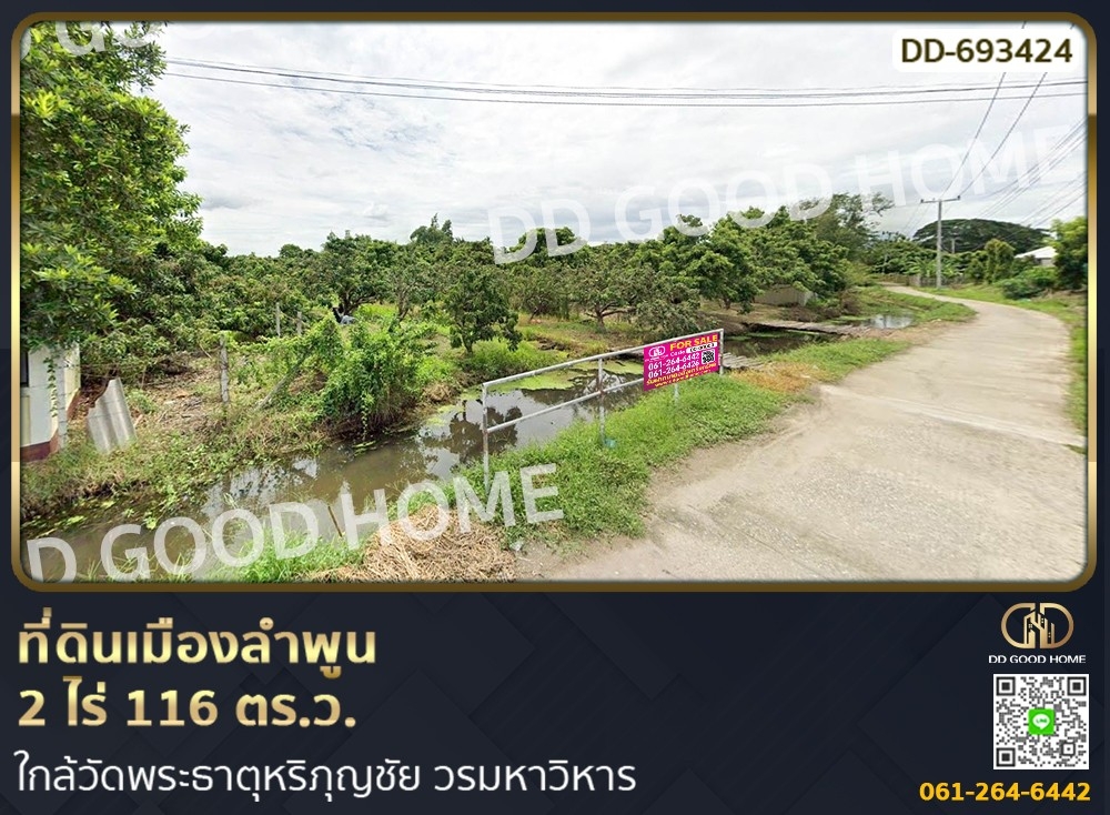 ขายที่ดินลำพูน : ที่ดินเมืองลำพูน 2 ไร่ 116 ตร.ว. ใกล้วัดพระธาตุหริภุญชัย วรมหาวิหาร