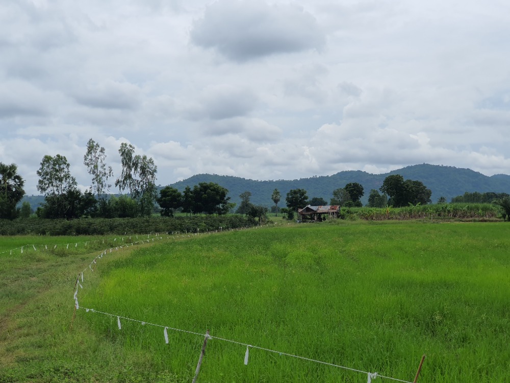 ขายที่ดินสุพรรณบุรี : ขายถูกมาก!!!  ที่ดิน สุดยอดทำเลดี 20ไร่ อู่ทอง สุพรรณบุรี วิวเขาสวย อากาศดี เพียง3แสน/ไร่ เท่านั้น