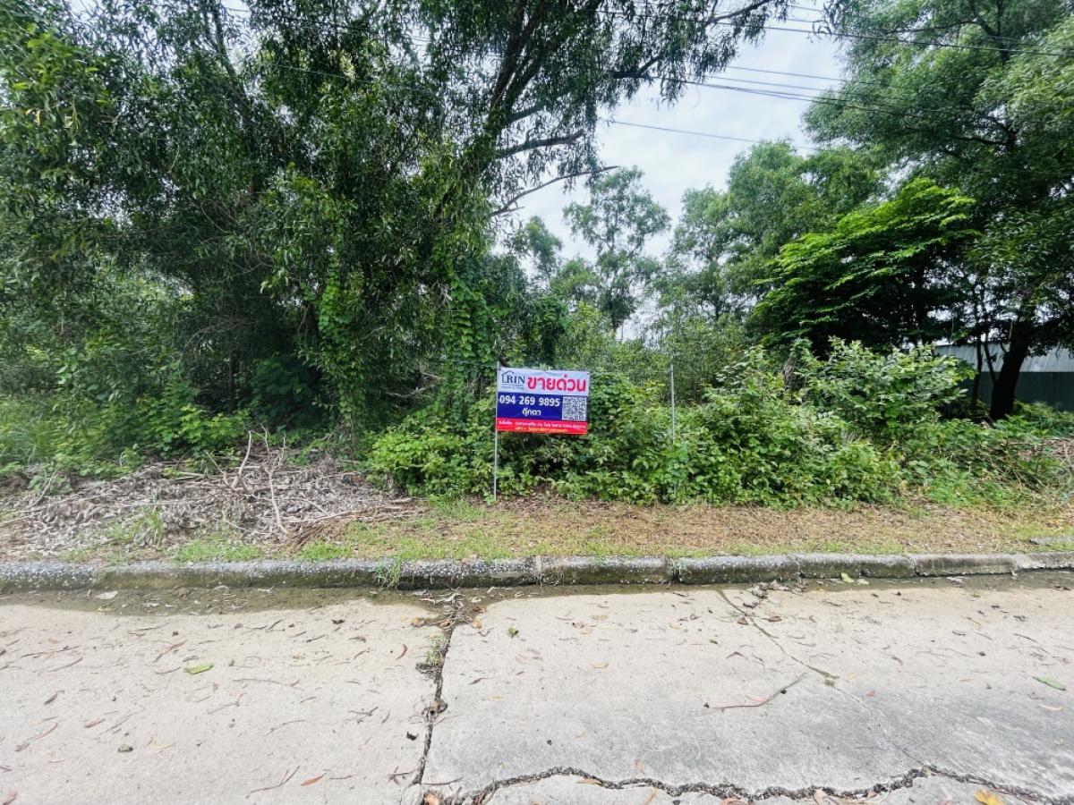 For SaleLandVipawadee, Don Mueang, Lak Si : 📣Land for sale ✨Selling 20% ​​cheaper than the government appraisal price✨Size of each plot is 104 sq.w., 2 plots, buy the whole plot or buy separately.