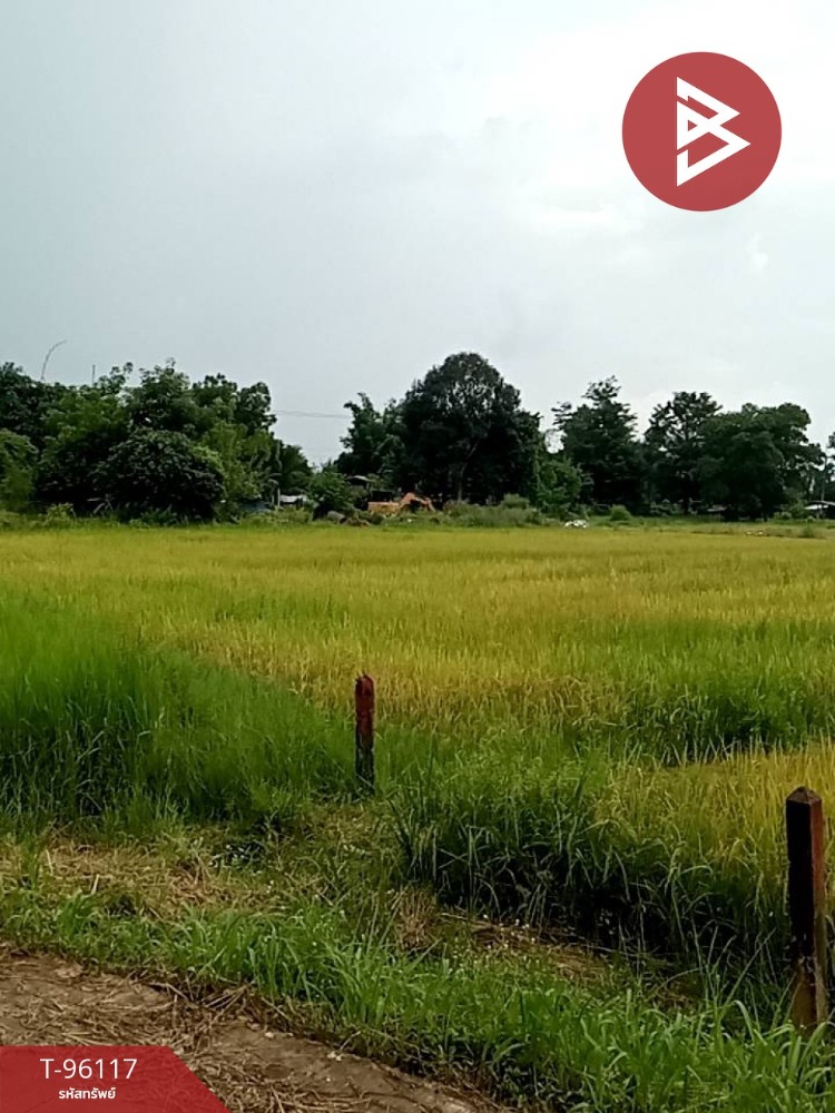 For SaleLandPrachin Buri : Land for sale, area 2 ngan, Nadi, Prachinburi