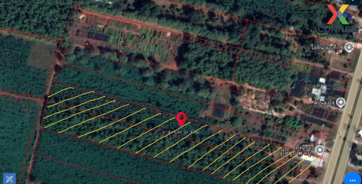 For SaleLandPhitsanulok : For Sale a building-ready land , Din Thong , Wang Thong , Phitsanulok , CX-107133