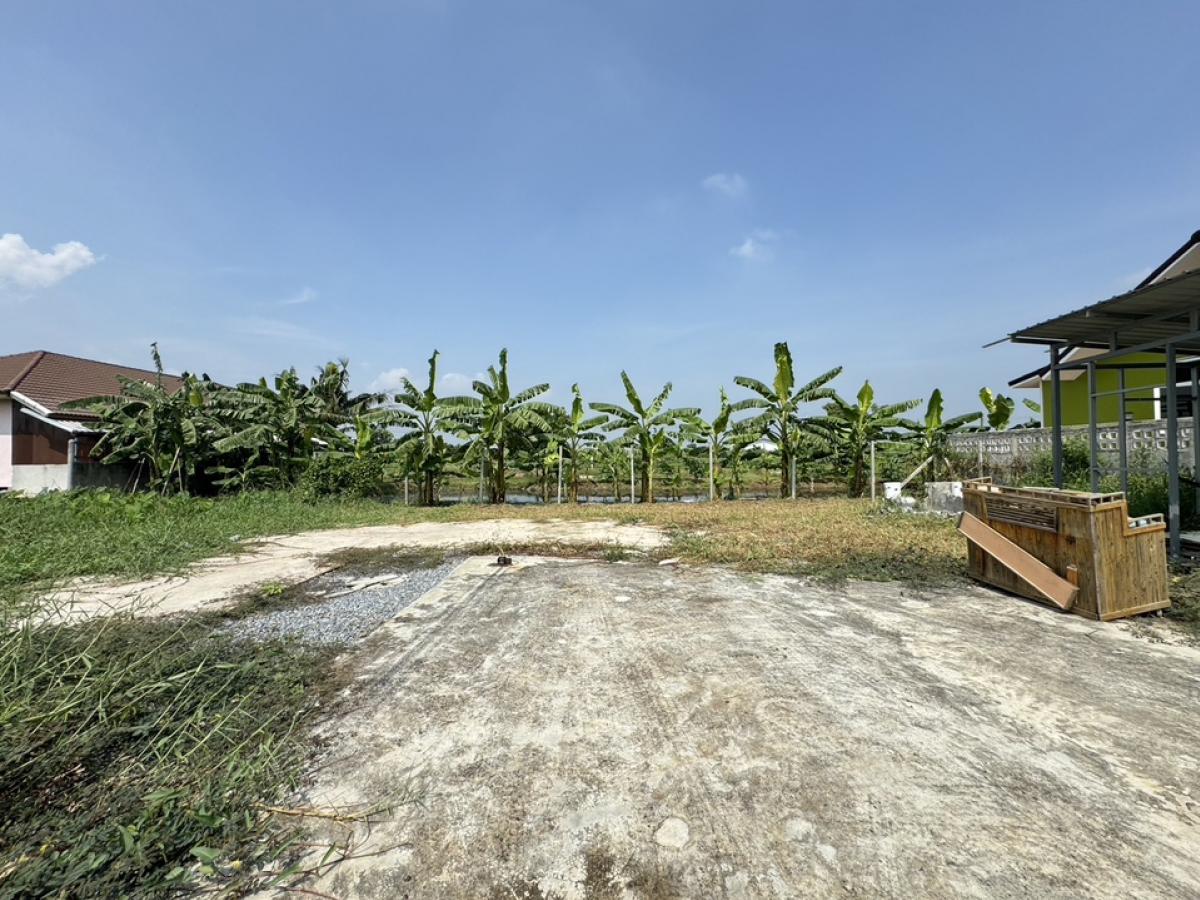 For RentLandNonthaburi, Bang Yai, Bangbuathong : Land for rent in Bang Bua Thong, 109 sq m., Bang Kruai-Sai Noi Road, Maha Thai Alley, opposite the new municipality, good location, multiple entrances and exits