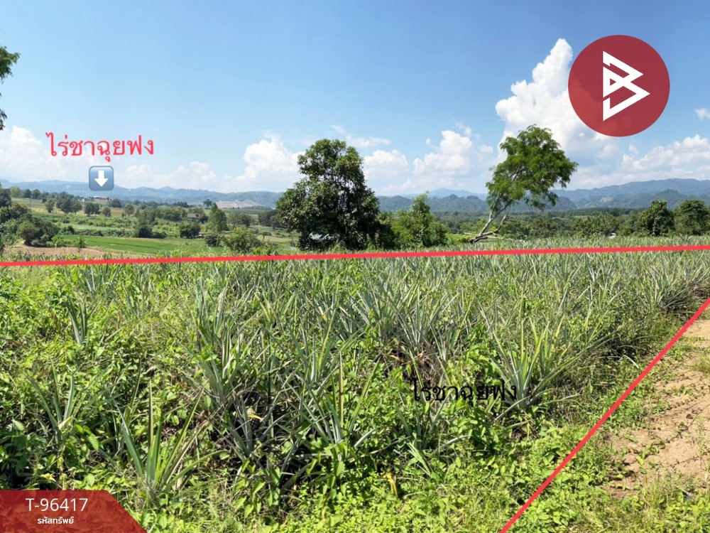 For SaleLandChiang Rai : Land for sale, area 5 rai 3 ngan 21.2 sq.wa, Mae Chan, Chiang Rai, prime location, near Chuifong tea plantation