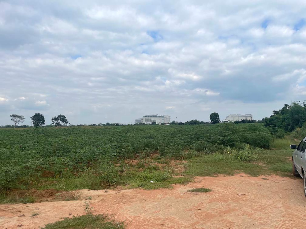 For SaleLandKorat Nakhon Ratchasima : Land for sale, 35 rai, Sung Noen Subdistrict, Sung Noen District, Nakhon Ratchasima