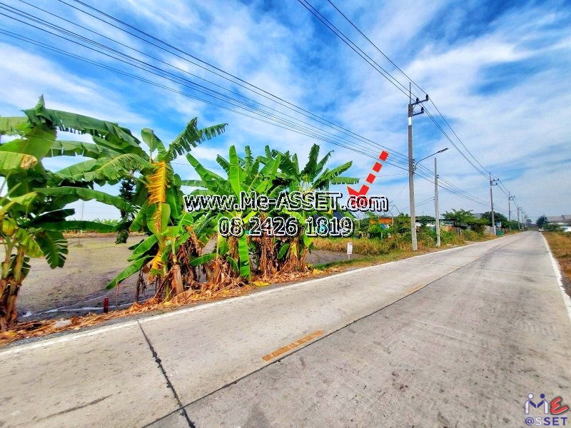 For SaleLandPhutthamonthon, Salaya : Land for sale, Dao Thong, Chaloem Niwet, Salaya, Phutthamonthon, Nakhon Pathom: near The Royal Gems Golf Course: 201 sq.wa: CODE NN-91364