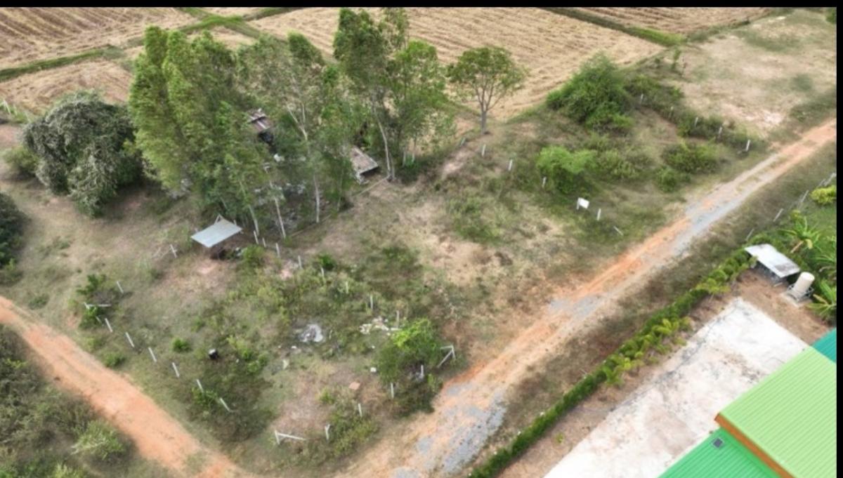 For SaleLandKhon Kaen : Land in Ban Phai, Khon Kaen, suitable for building a house.