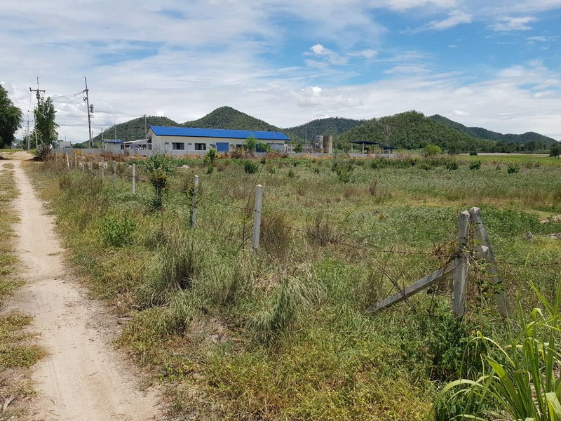 For SaleLandChai Nat : EHH urgent sale, land, title deed, Noen Kham District, Chainat, 2 rai 88 sq m, beautiful mountain view, very cheap, only 130,000 baht per rai