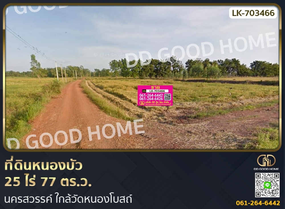 ขายที่ดินนครสวรรค์ : ที่ดินหนองบัว 25 ไร่ 77 ตร.ว. นครสวรรค์ ใกล้วัดหนองโบสถ์