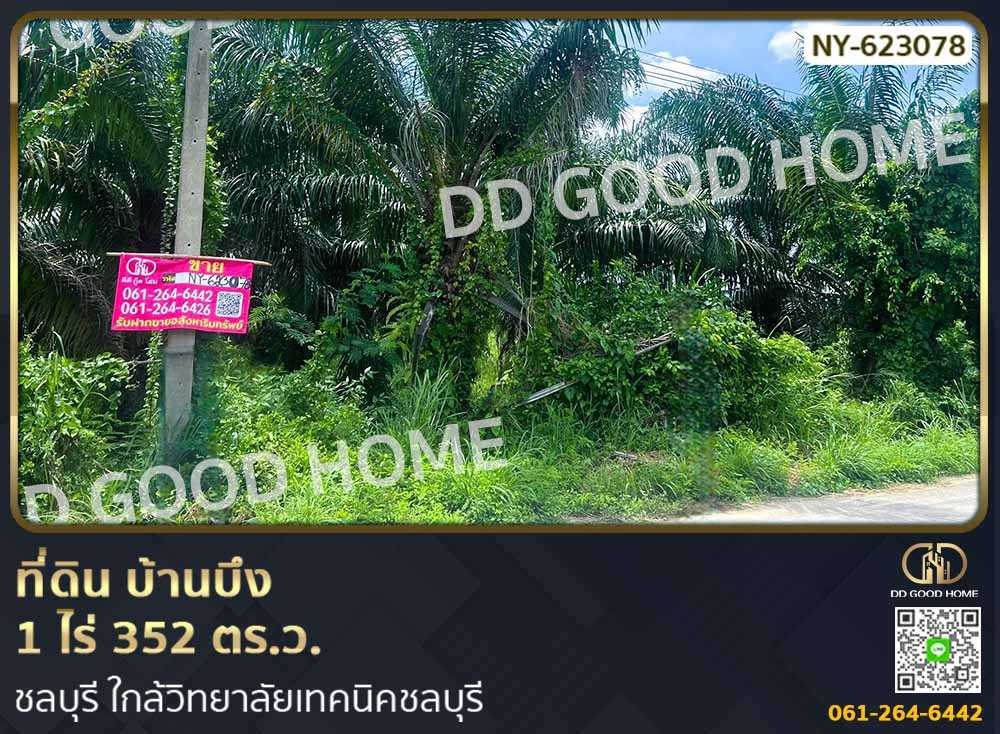 ขายที่ดินพัทยา บางแสน ชลบุรี สัตหีบ : ที่ดิน บ้านบึง 1 ไร่ 352 ตร.ว. ชลบุรี ใกล้วิทยาลัยเทคนิคชลบุรี